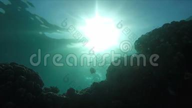 潜水员在阳光下游过珊瑚礁